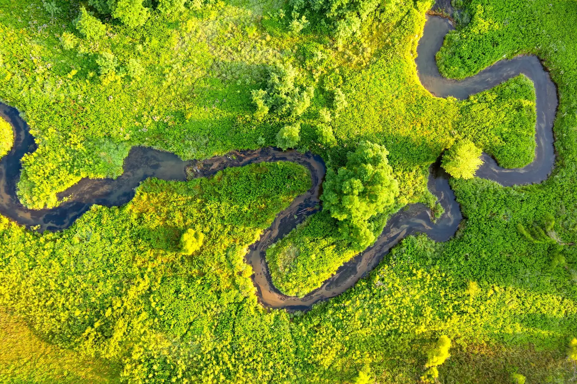 Climate Monitoring