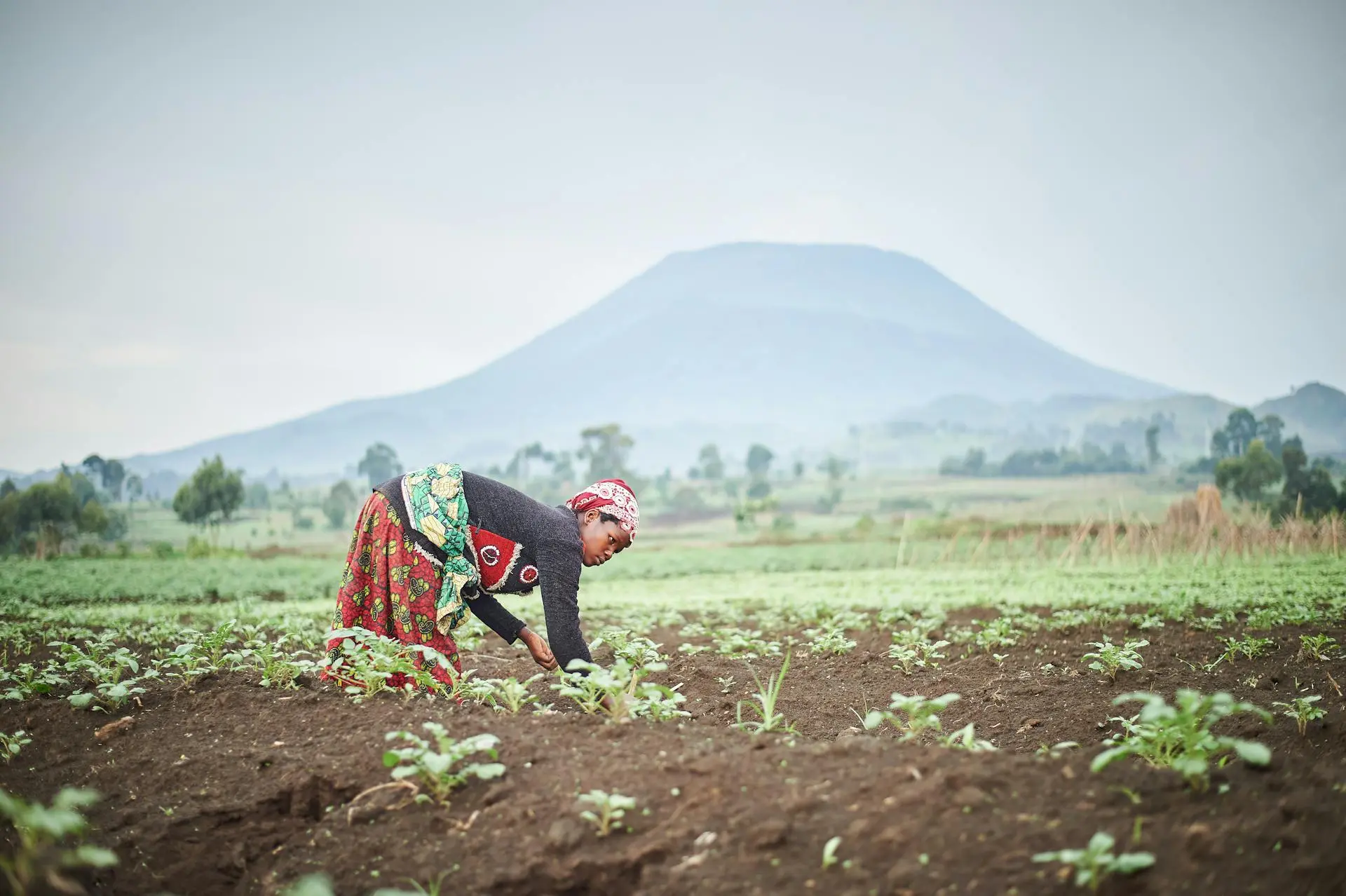 Food Security